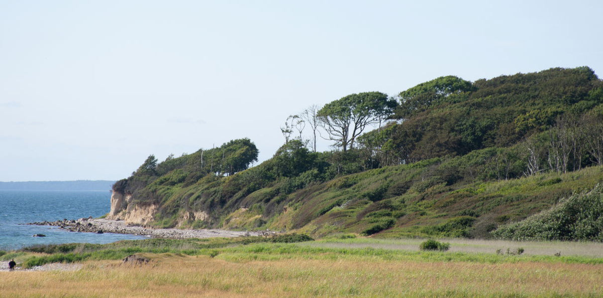 Æbelø