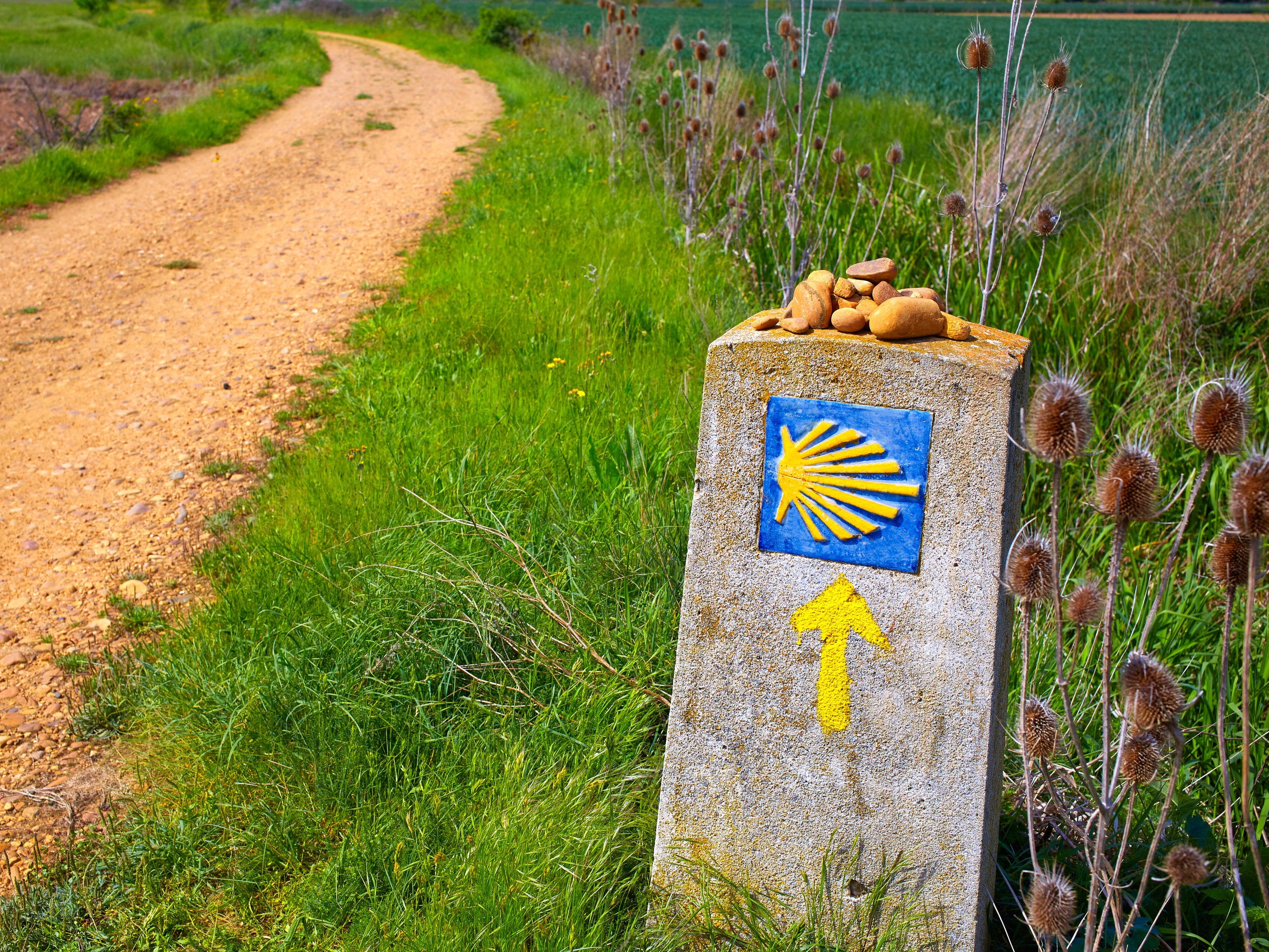 Caminoen: 6 ruter til Santiago de Compostela