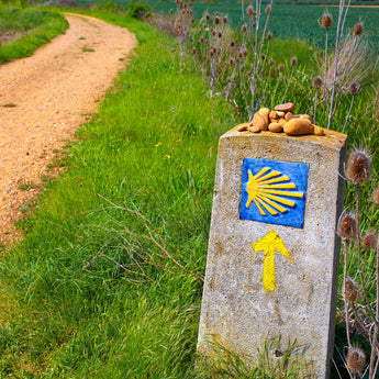 Caminoen: 6 ruter til Santiago de Compostela