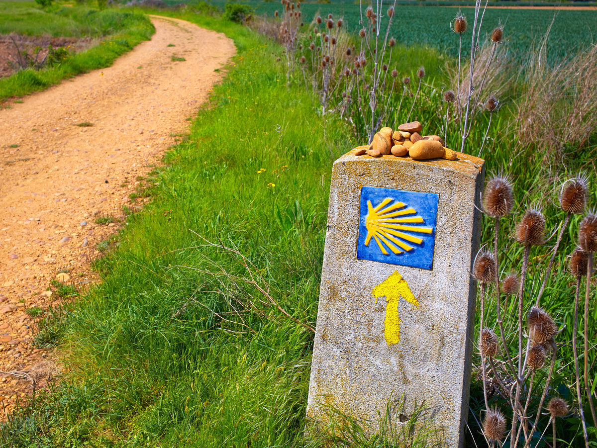 Caminoen: 6 ruter til Santiago de Compostela