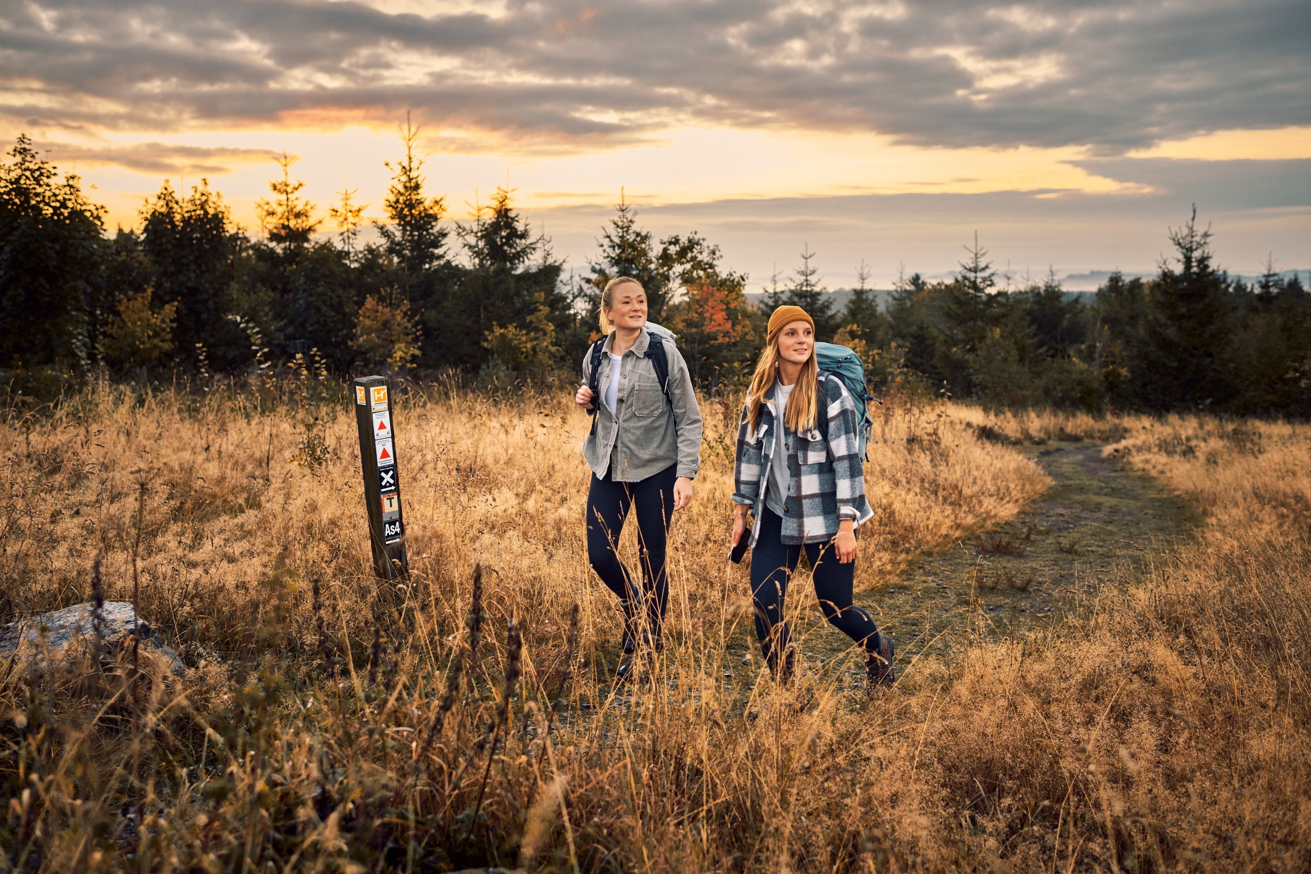 Opdag Sauerland: Det tyske vandreparadis