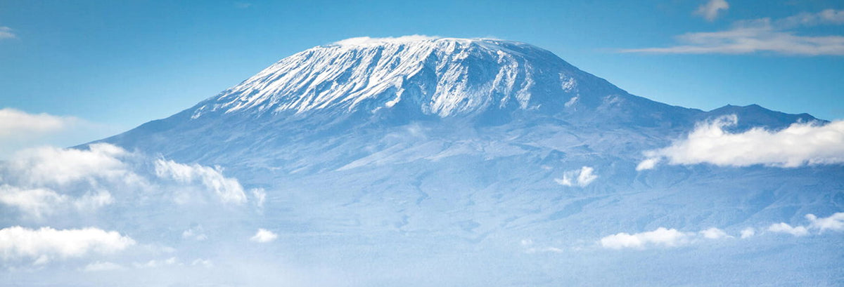 Bestig Kilimanjaro