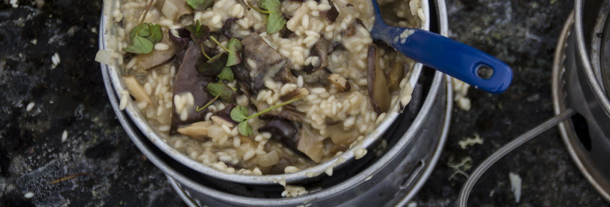Opskrift: Risotto med svampe og fjeldsyre
