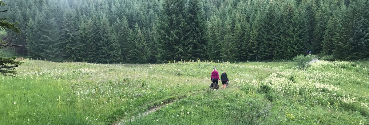 Vandring med baby og hund