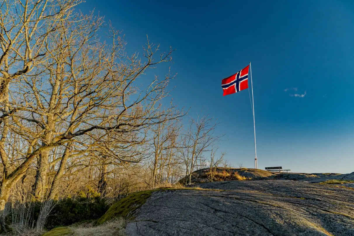 Allemandsretten i Norge