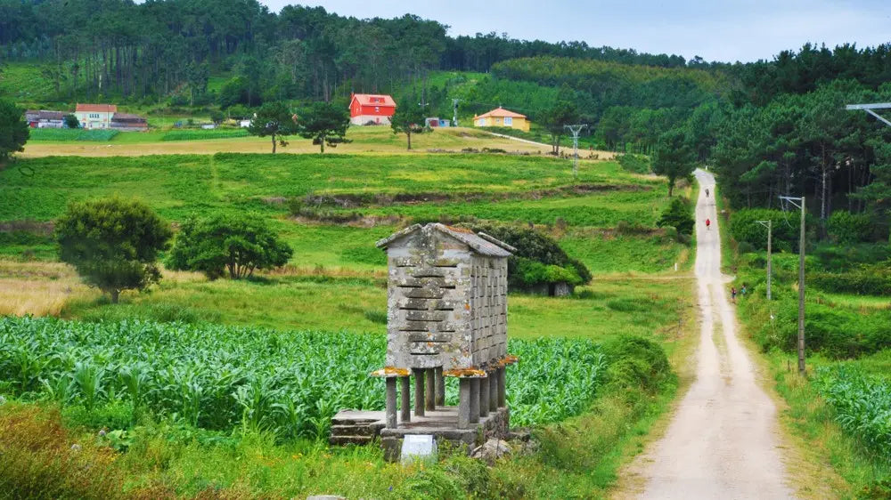Camino Portugues - den portugisiske rute