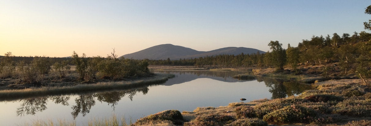 Vandretur i Norge - Femundsmarka