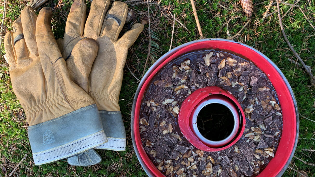 Opskrift: Chokoladekage med appelsin og valnødder