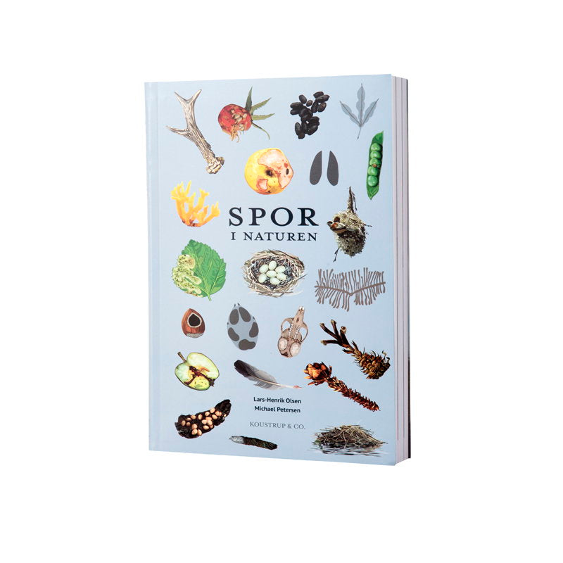 Spor I Naturen