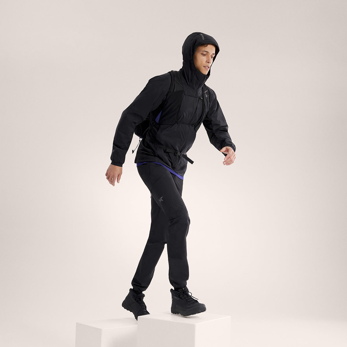 Arc'teryx Atom Hoody, herre (Black)