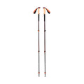 Black Diamond Trail Cork vandrestave 100-140 cm (Fig)