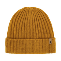 Acorn