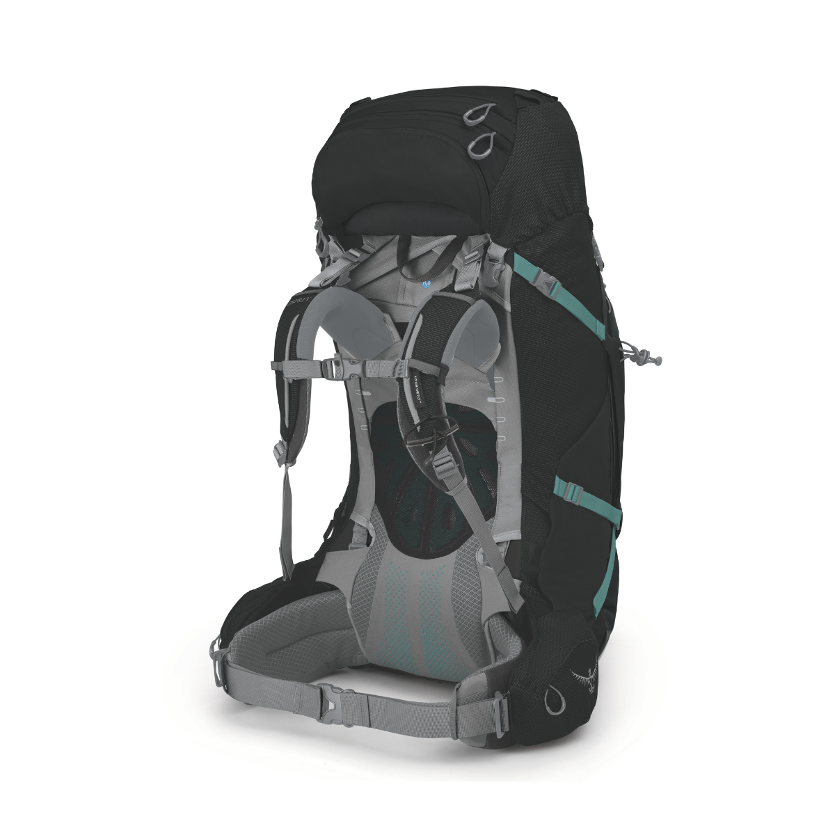 Osprey Ariel Plus 70 L vandrerygsæk, dame (Black)