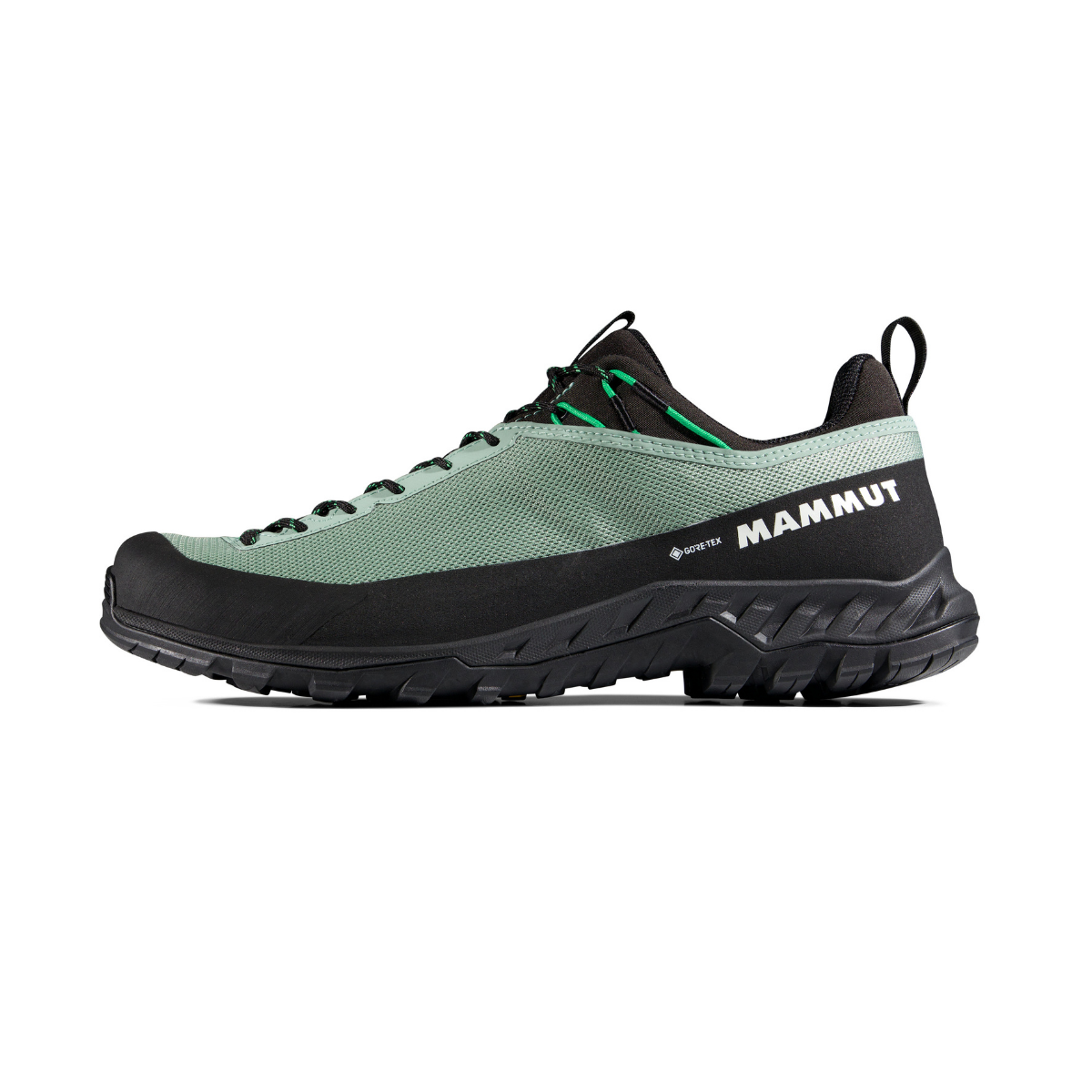 Mammut Alnasca IV Low GORE-TEX sko, herre (Deep Silver Sage/Pinea)