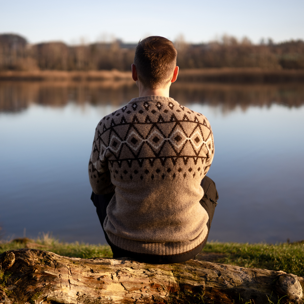 Asivik Gamborg Sweater, herre (Tan)