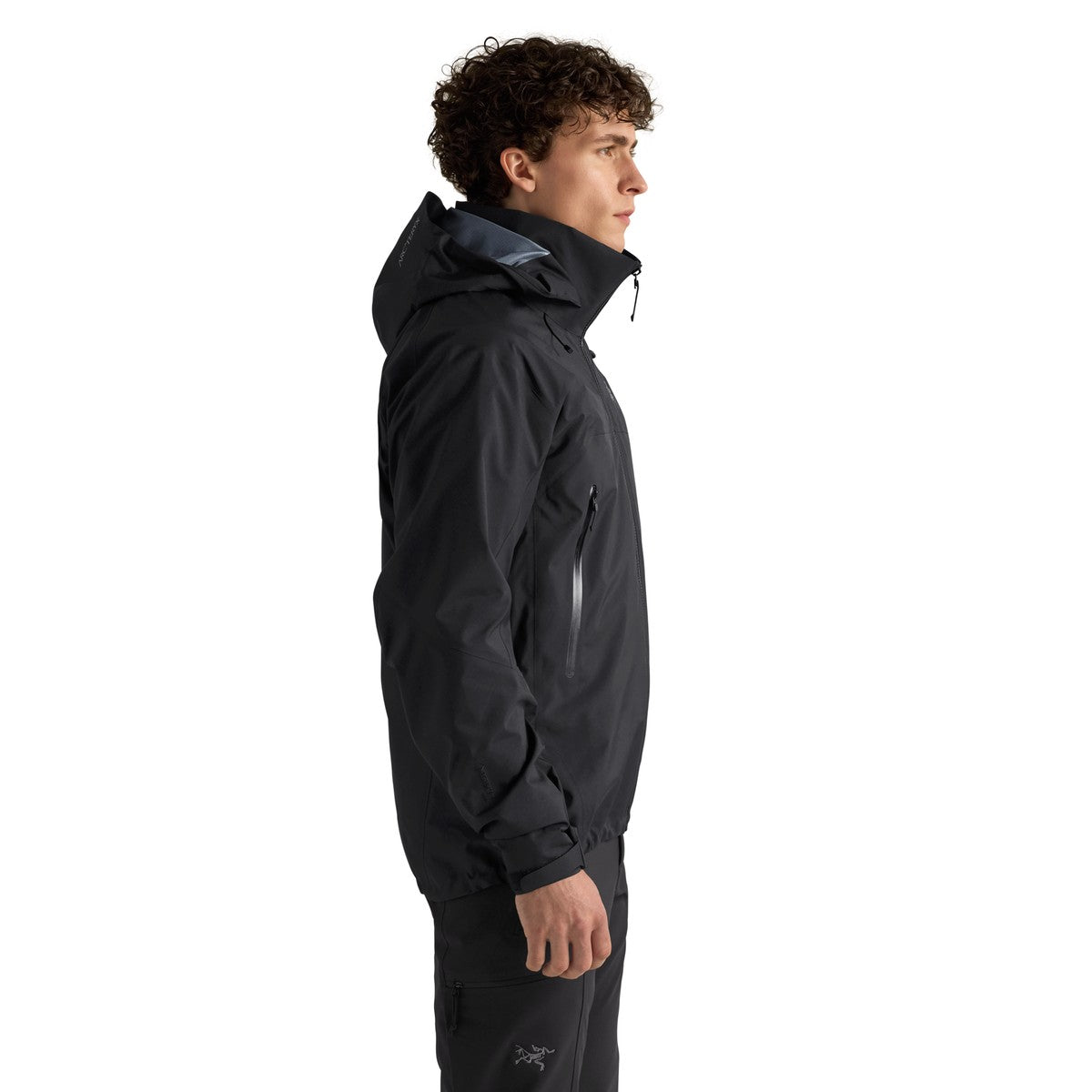 Arc'teryx Beta AR Jacket skaljakke, herre (Black)