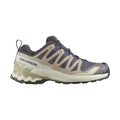 Salomon XA PRO 3D V9 GORE-TEX sko, dame (Iron/Oxford/A)