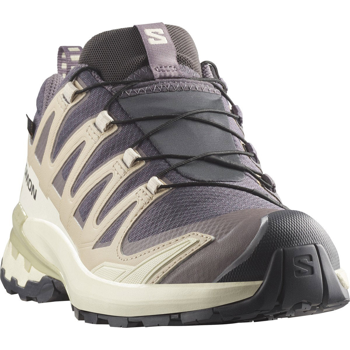 Salomon XA PRO 3D V9 GORE-TEX sko, dame (Iron/Oxford/A)