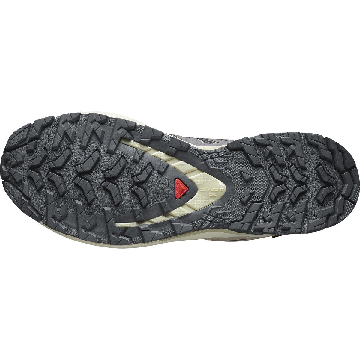 Salomon XA PRO 3D V9 GORE-TEX sko, dame (Iron/Oxford/A)