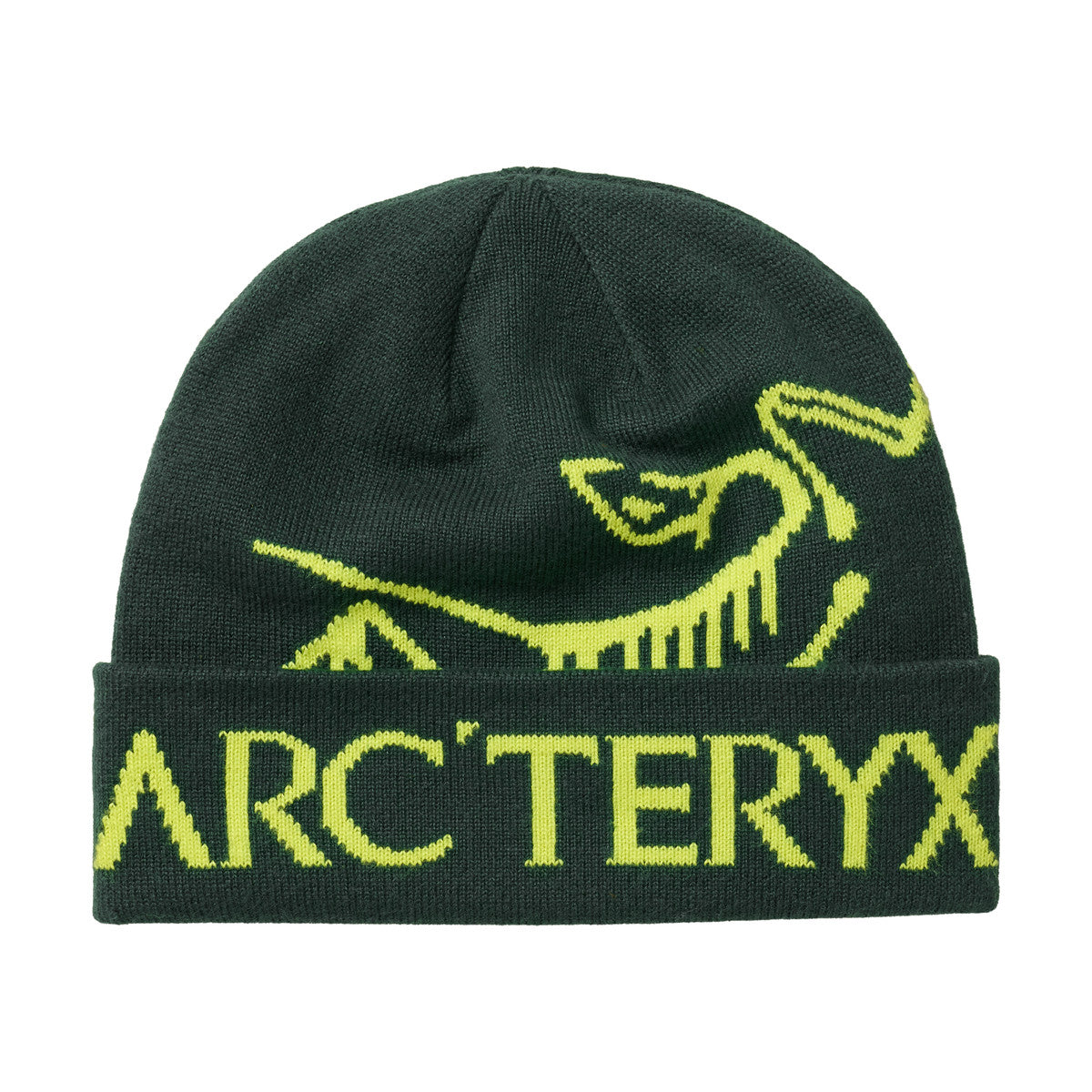 Arc'teryx Bird Word Toque hue (Dark Jade / Mantis)