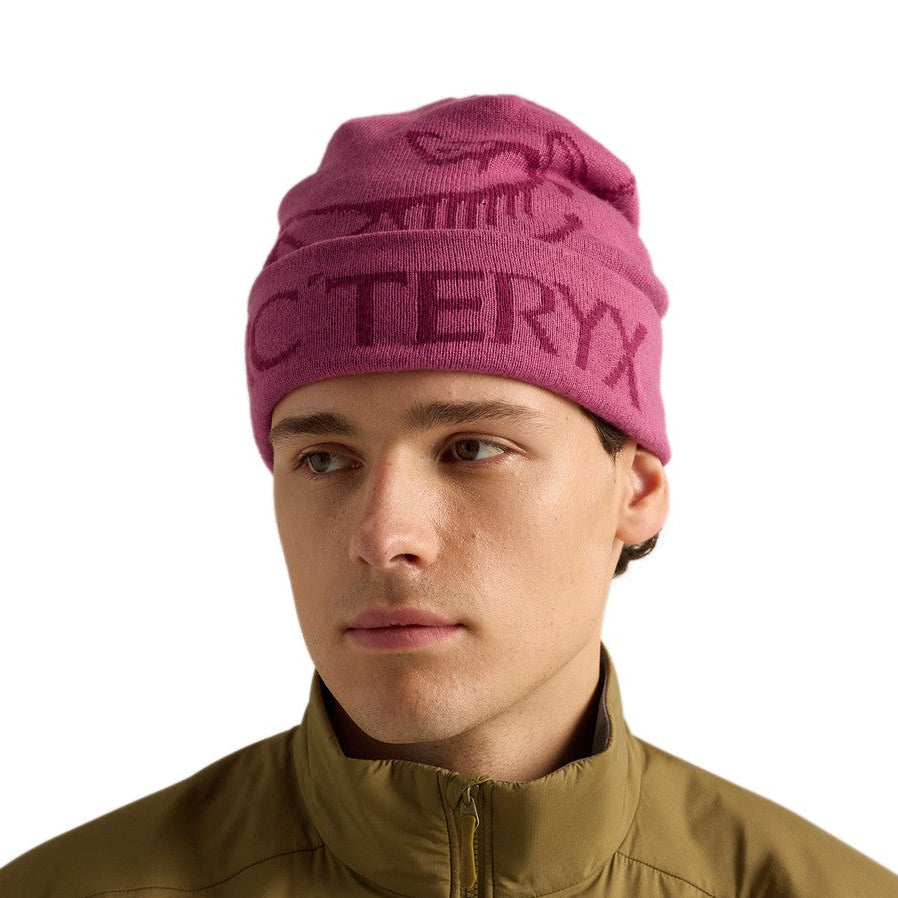 Arc'teryx Bird Word Toque hue (Renegade)