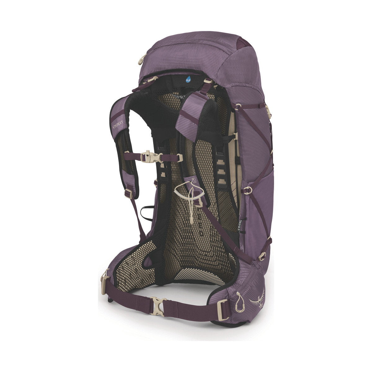 Osprey Eja 38 vandrerygsæk 38 L, dame (Purple Dusk)