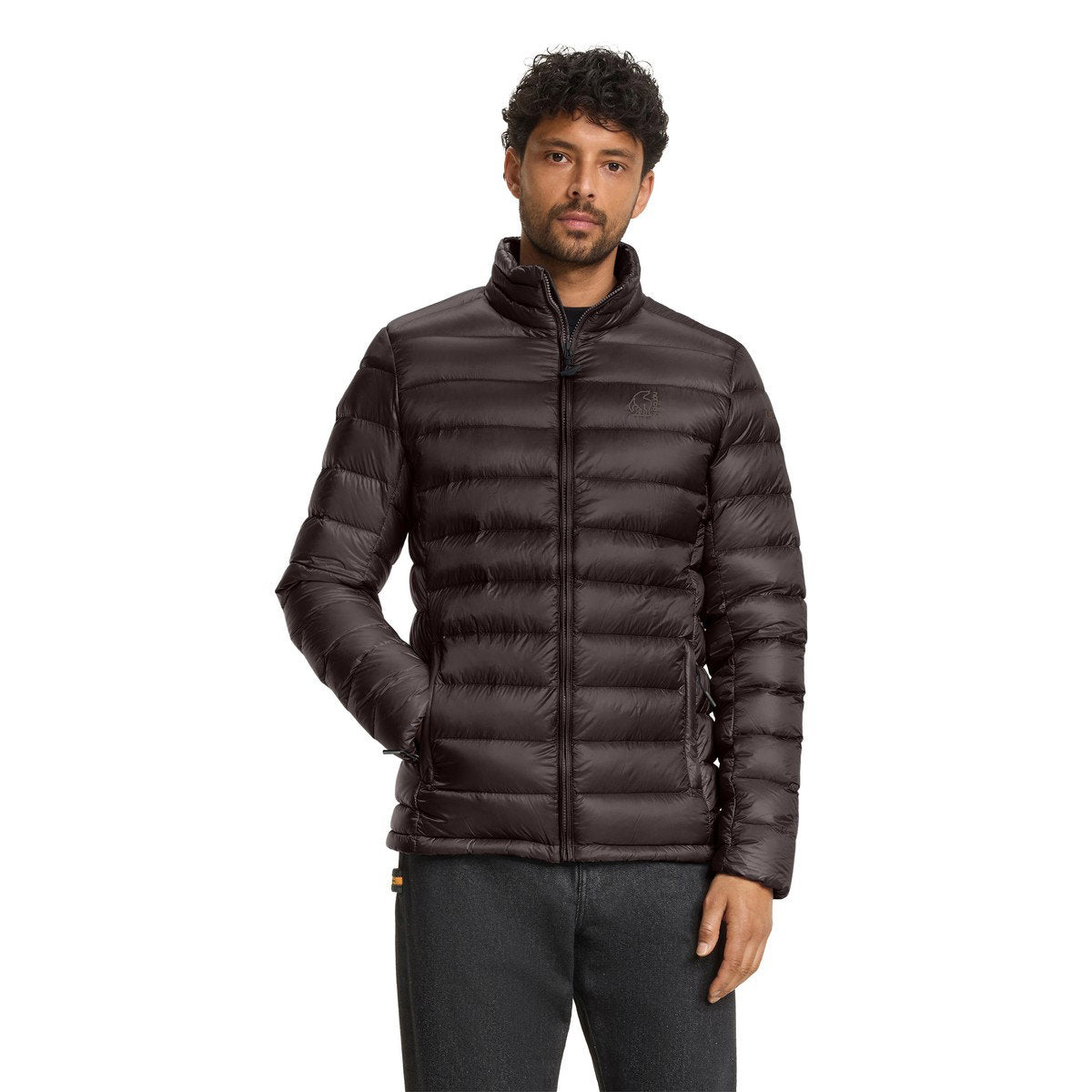 Nordisk Hjalte dunjakke, herre (Black)