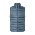 Nordisk Harald dunvest, herre (Blue Mirage)