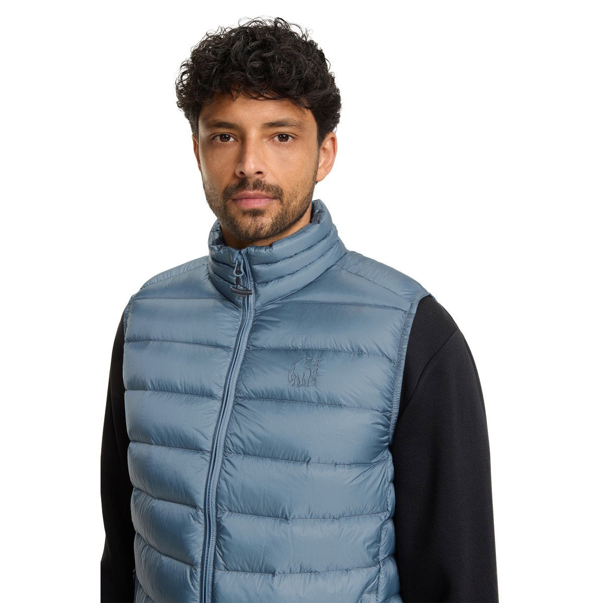 Nordisk Harald dunvest, herre (Blue Mirage)
