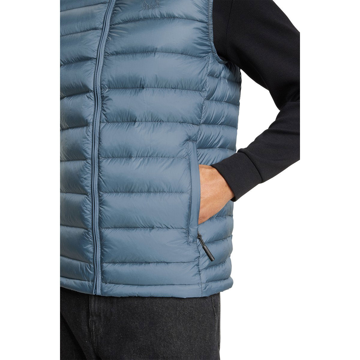 Nordisk Harald dunvest, herre (Blue Mirage)