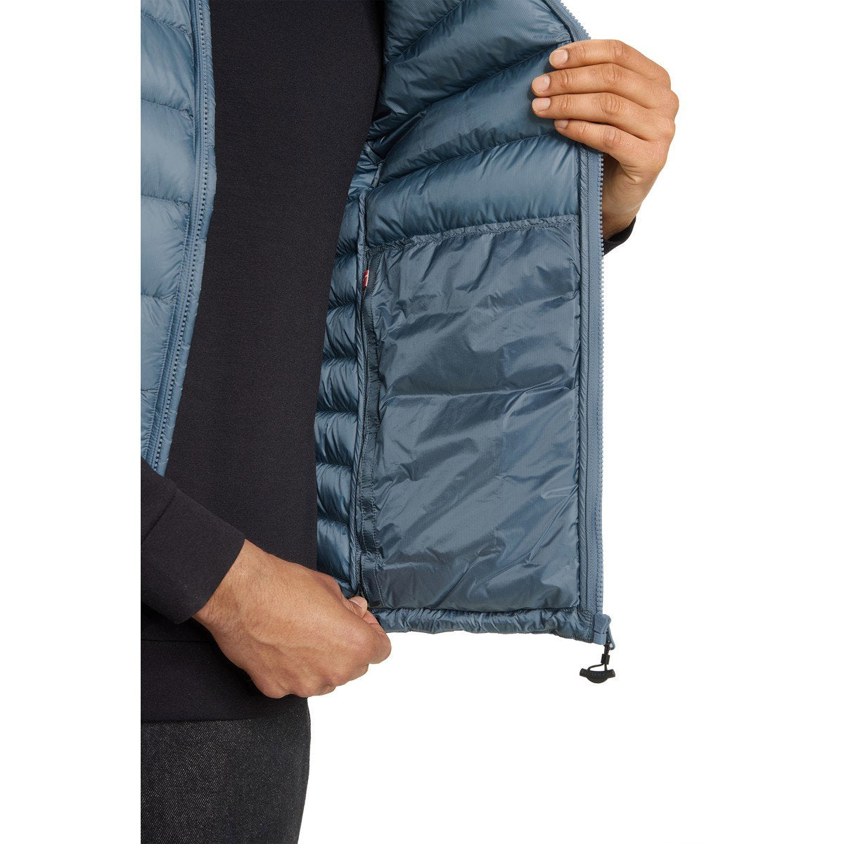 Nordisk Harald dunvest, herre (Blue Mirage)