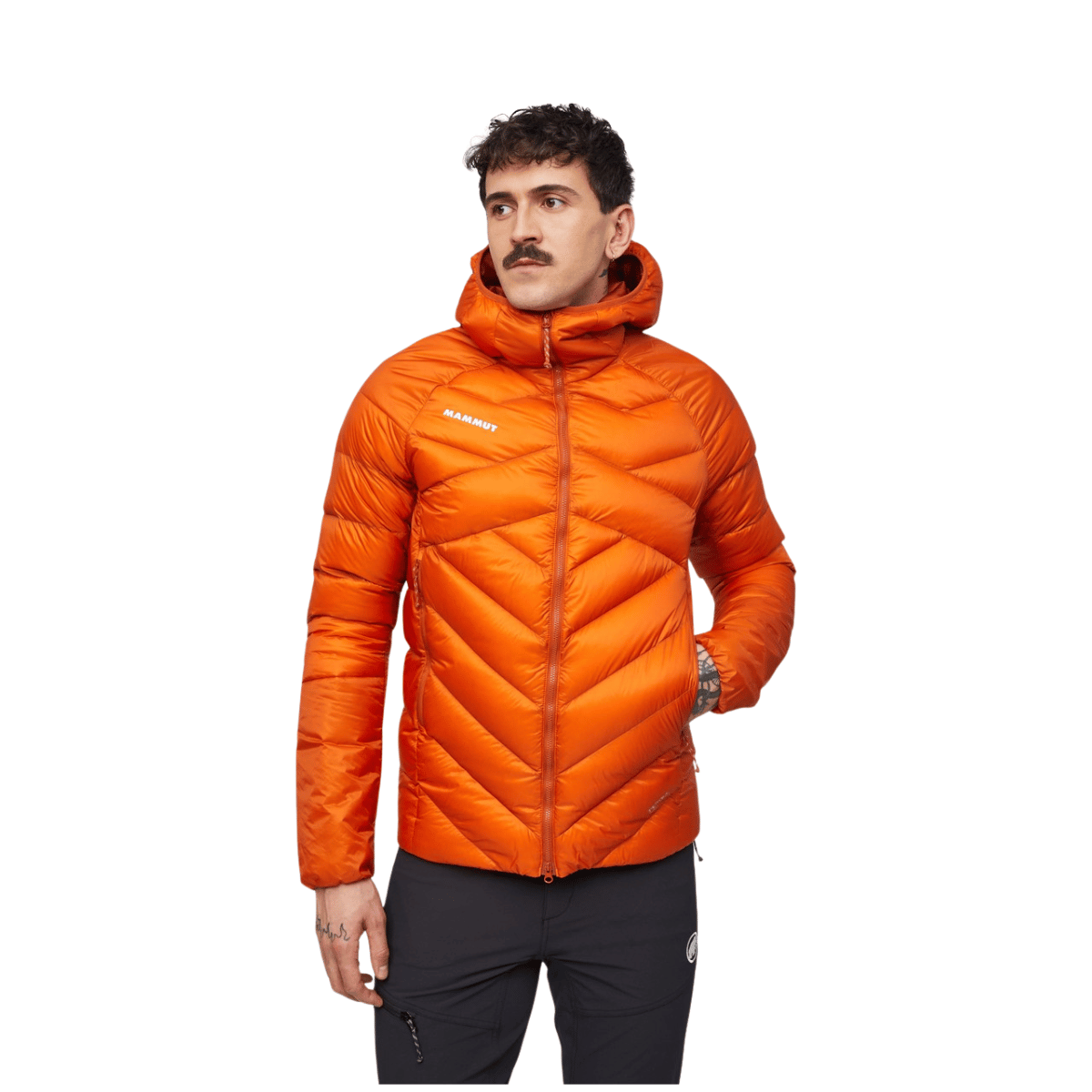 Mammut Taiss IN Hooded dunjakke, herre (Autumn Larice)