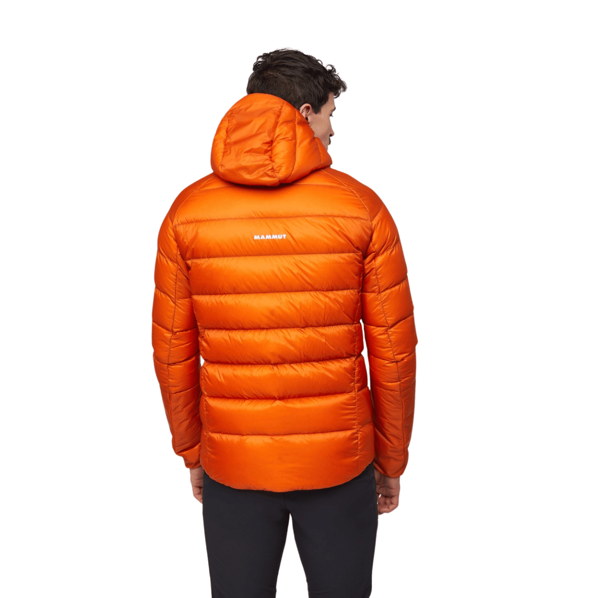 Mammut Taiss IN Hooded dunjakke, herre (Autumn Larice)