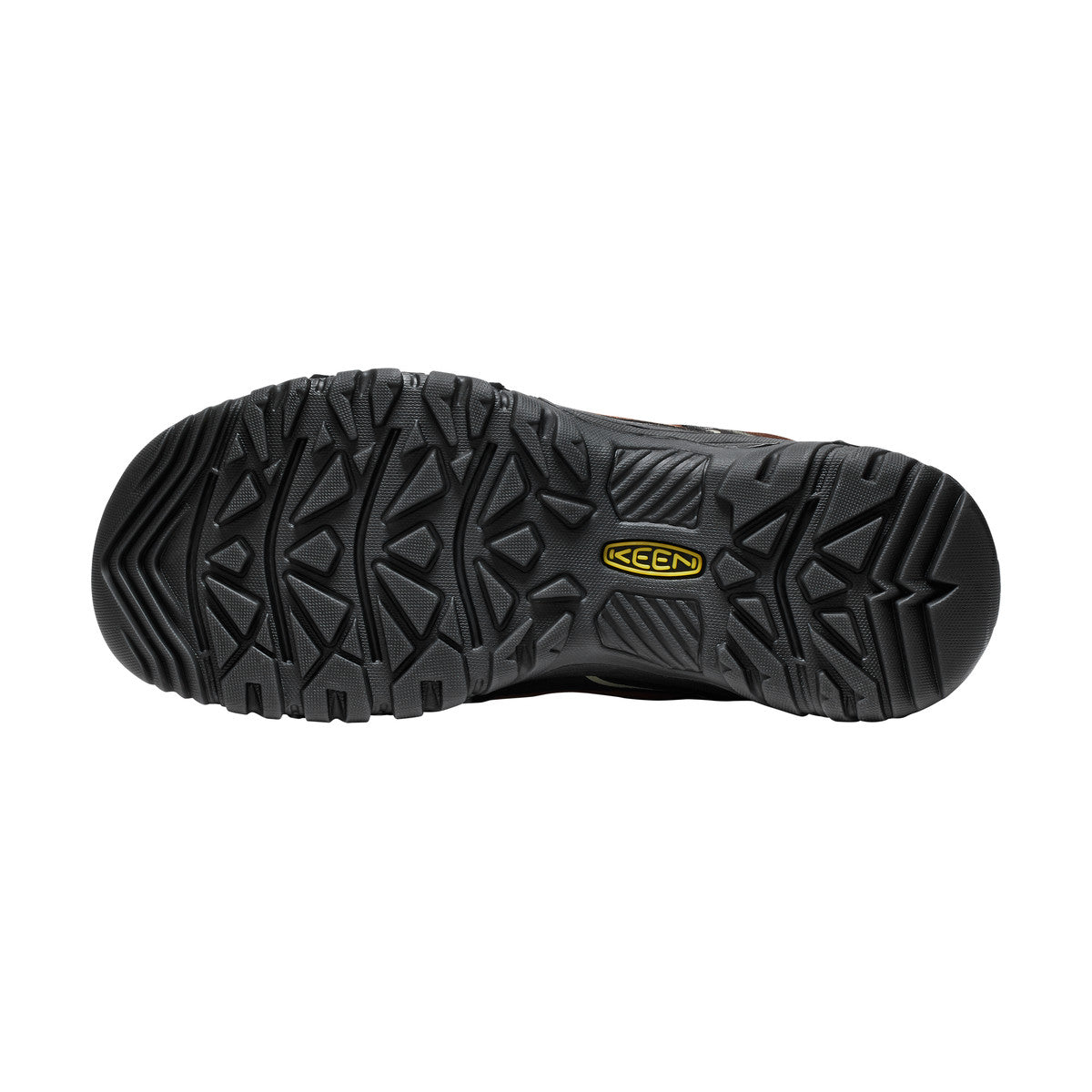 KEEN Targhee EXP Low WP vandresko, herre (Bison / Black)