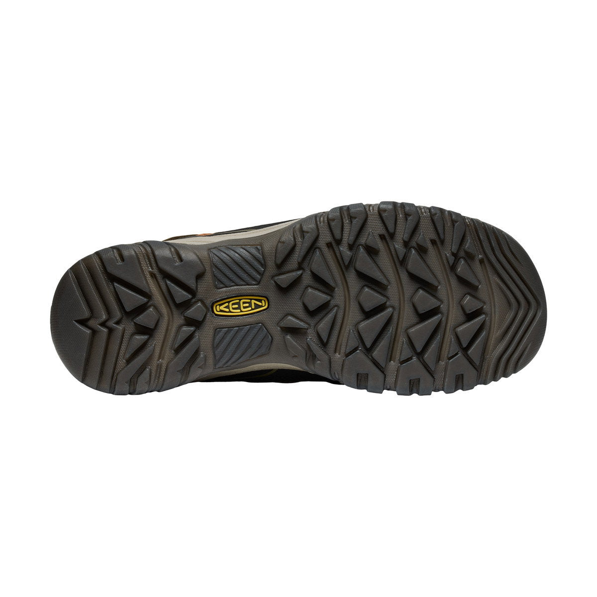 KEEN Targhee IV WP vandresko, herre (Sea Turtle Roasted Pecan)