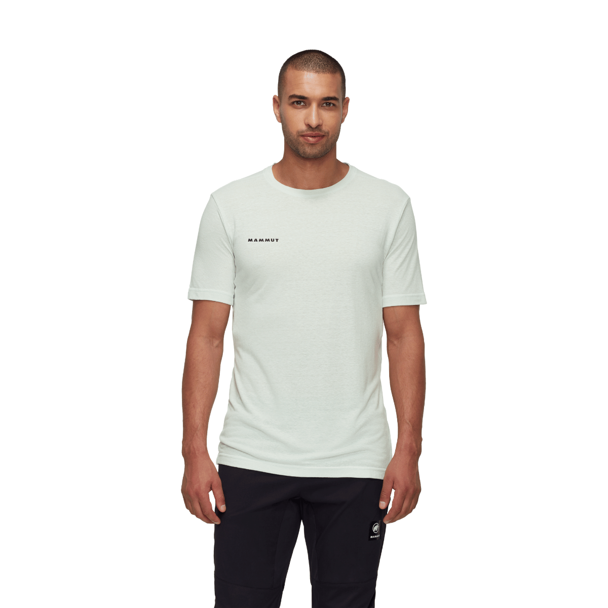 Mammut Massone Light T-Shirt, herre (Silver Sage)