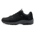 Haglöfs Ridge GtX II Low vandresko, herre (True Black)