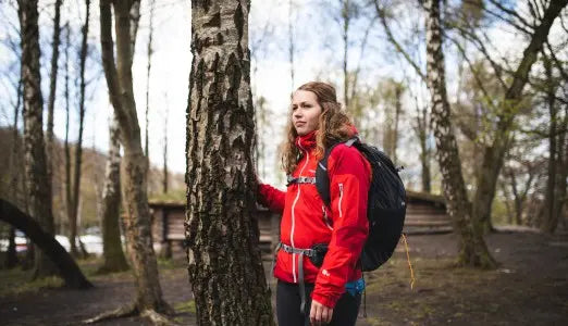 Udforsk den danske pilgrimsrute