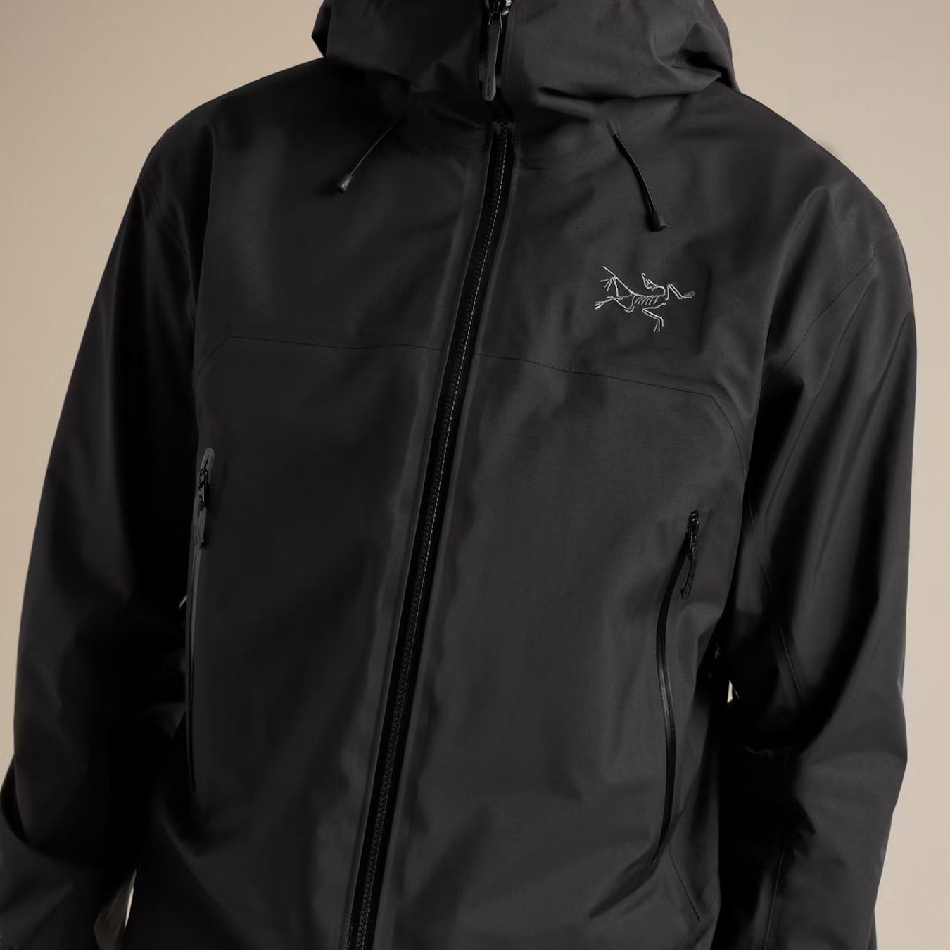 Arc'teryx Beta SL Skaljakke, herre (Black)