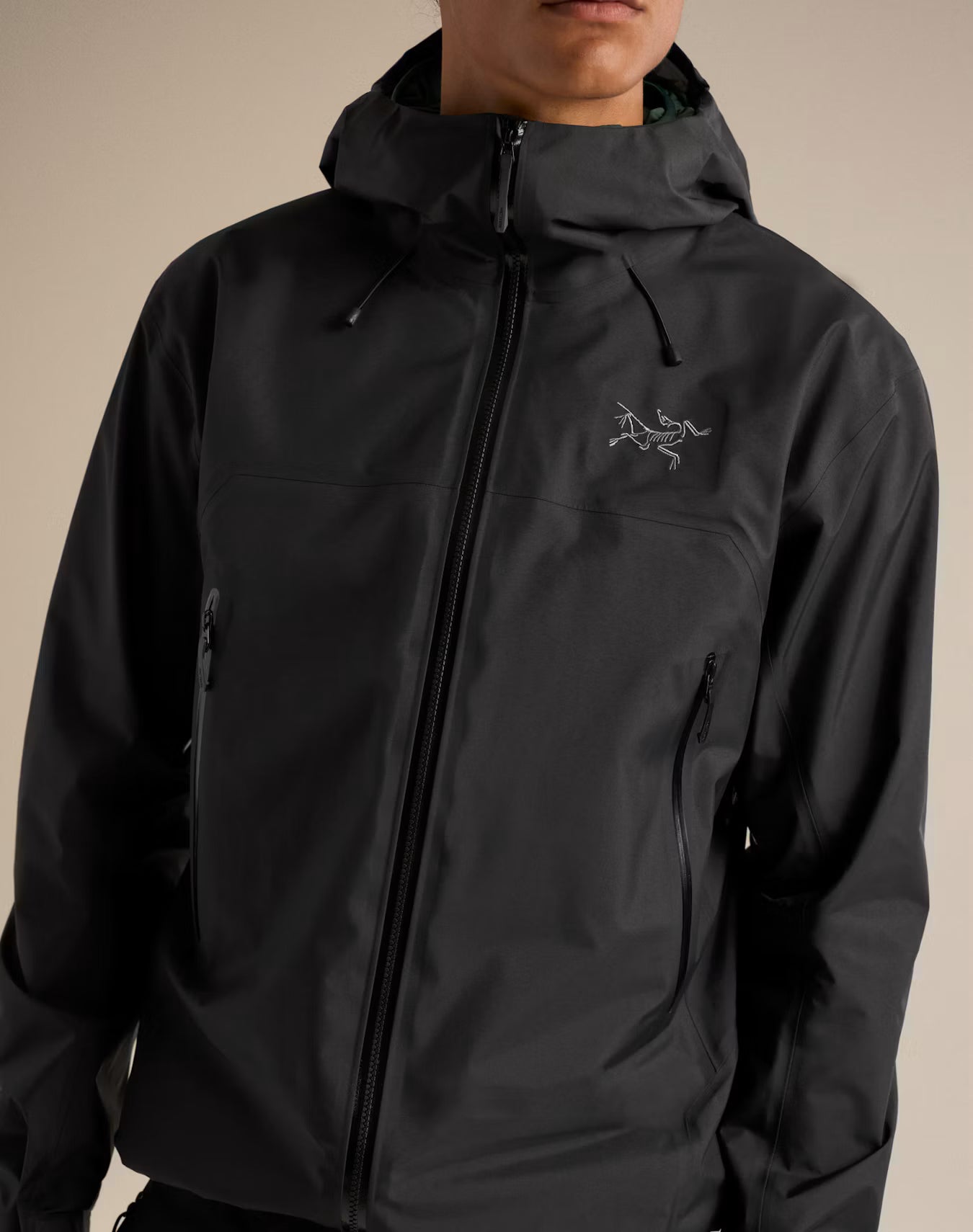 Arc'teryx Beta SL Skaljakke, herre (Black)
