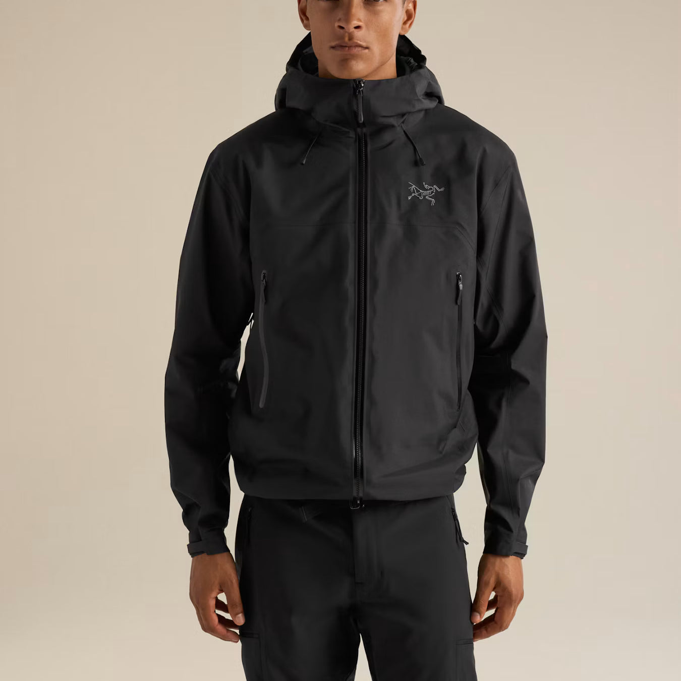 Arc'teryx Beta SL Skaljakke, herre (Black)