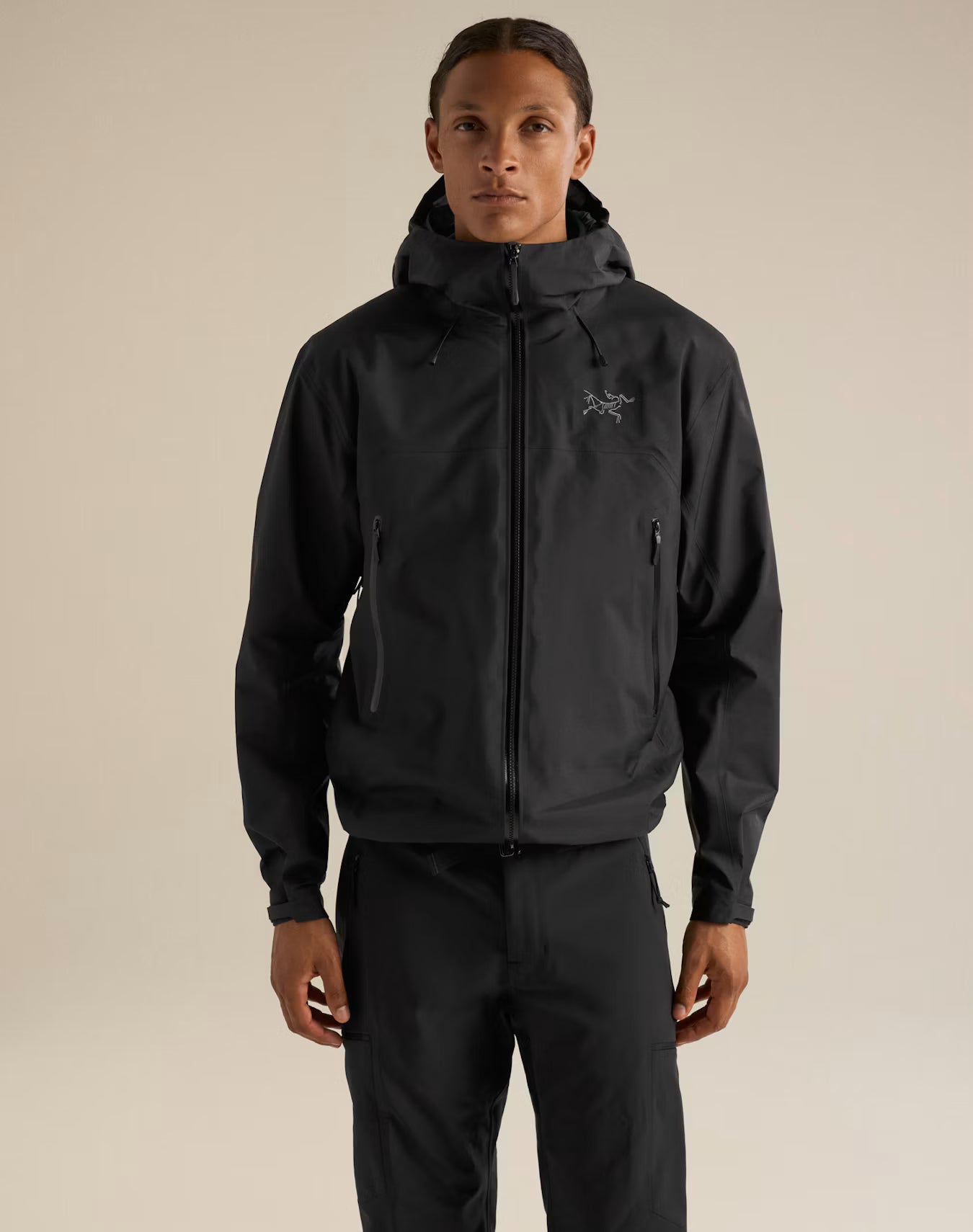 Arc'teryx Beta SL Skaljakke, herre (Black)