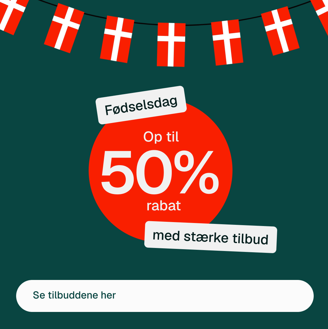 Slidebillede