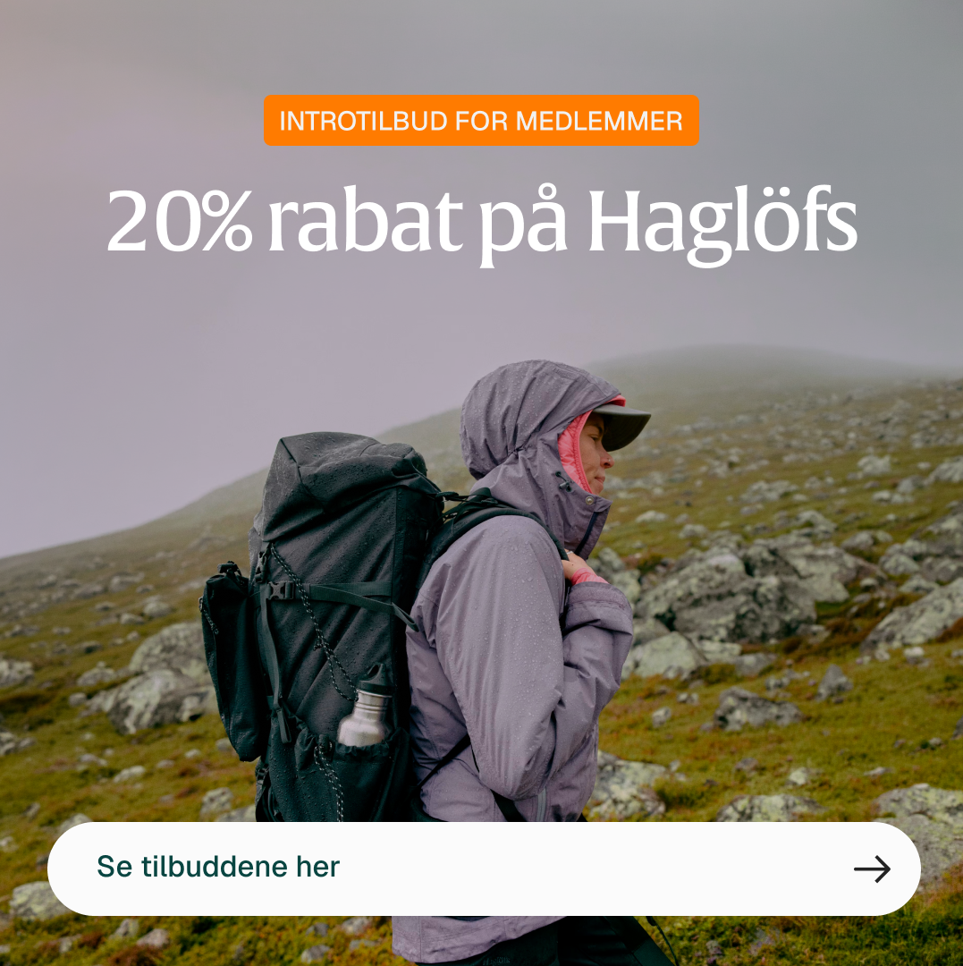 Slidebillede