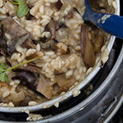 Opskrift: Risotto med svampe og fjeldsyre