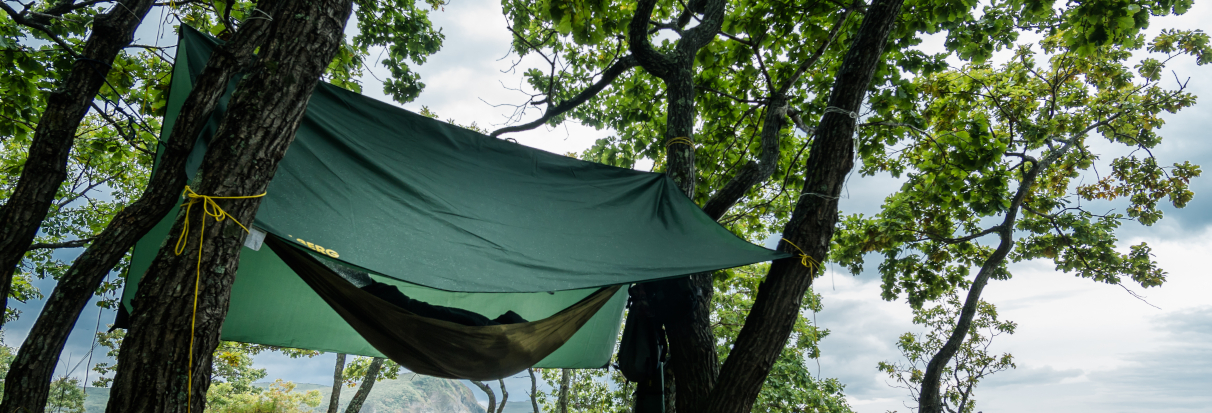 hængekøje og tarp
